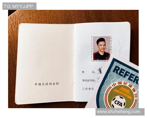 足球二级裁判证的重要性及获取途径解析与职业发展前景探讨